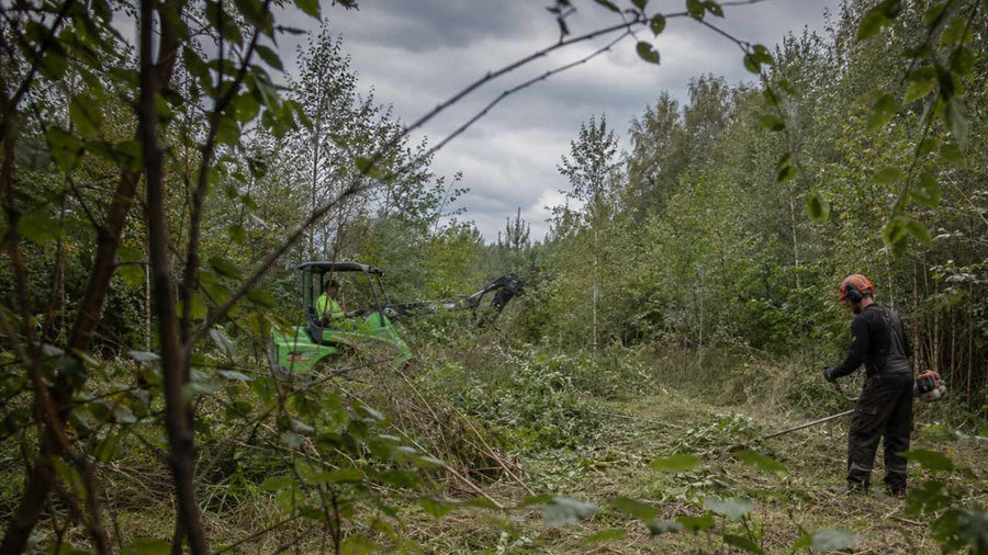 Usuwanie samosiejek z zaniedbanej działki
